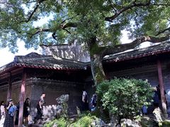-天一阁博物院
