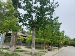 -杨柳青庄园