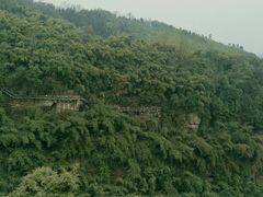 -川西竹海景区