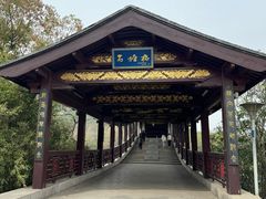 -长广溪湿地公园