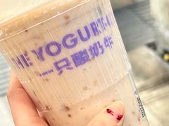 -一只酸奶牛(春熙路店)