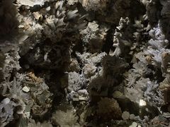 -湖南省地质博物馆