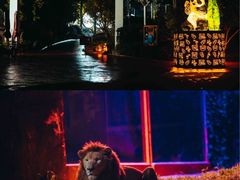 -杭州野生动物世界