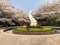 -杭州少年儿童公园
