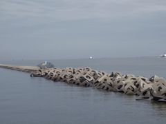 -东疆建设开发纪念公园