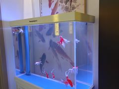 -虹泥小厨(南国花园总店)