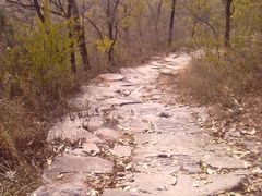 201311023919-阳台山自然风景区