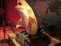 -沈阳海洋探索中心