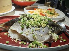 -钟菜·粤菜点心·宴请(海上世界·汇港二期店)