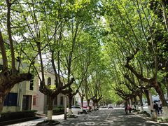 -四川农业大学(雅安校区)