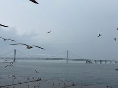 -星海广场