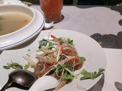 -新兴·金羊座·粤菜点心(乐峰店)
