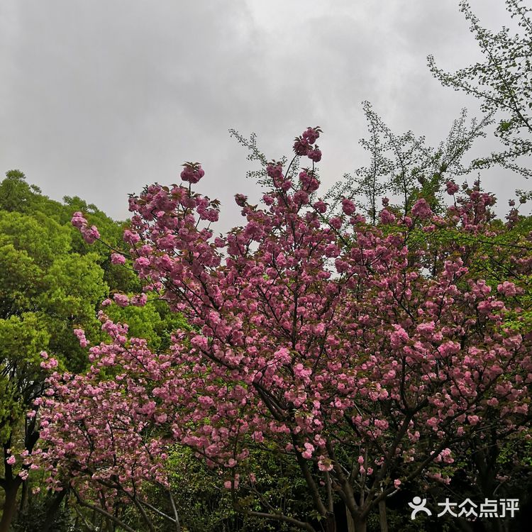 仙蠡墩