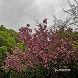 仙蠡墩