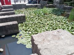 -虞山城墙