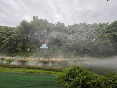 -广州长隆飞鸟乐园