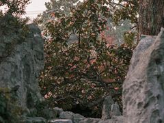 -沧浪亭