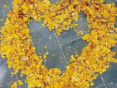 -味多美蛋糕(看丹桥店)