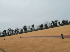 -九科绿洲