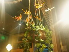 -云海肴·汽锅鸡·云南菜(天津国金汇店)