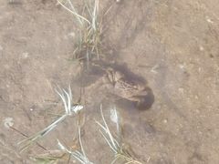 -北海金海湾红树林生态旅游区