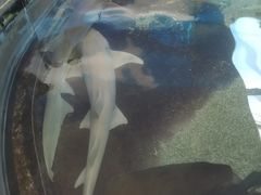 -鸿通城购物中心