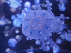 -华夏文旅西安度假区