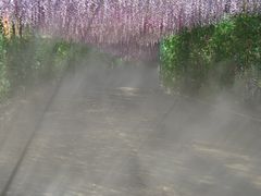 -东莞观音山旅游风景区