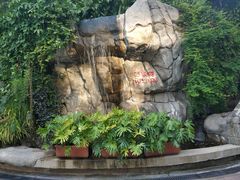 -九龙公园