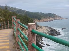 -广东惠东海龟国家级自然保护区