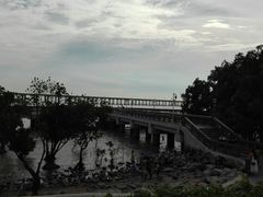 -宝安西湾红树林湿地公园