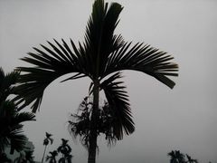 -白沙湾海滩