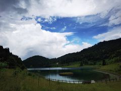 -武陵山森林公园