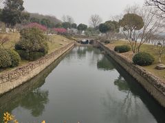 -羊山湖公园