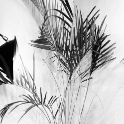 -SEBASTIAN塞巴斯汀