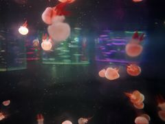 -聊城海底世界