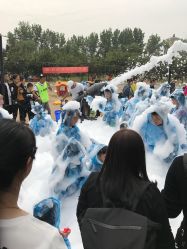 -上美四季动物农场