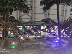 -辽宁古生物博物馆