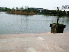 景点-新江湾城公园