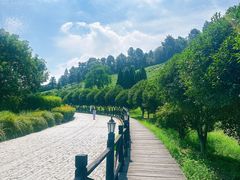-树山生态村