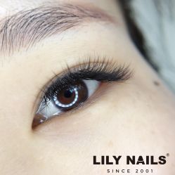-LILY NAILS美甲美睫