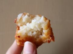 萝卜圆子-陶记正宗德州扒鸡(科巷店)