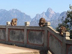 -九华山风景区