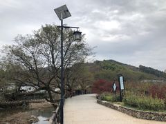 -四明山国家森林公园