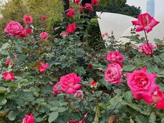 -人民公园(罗湖区)