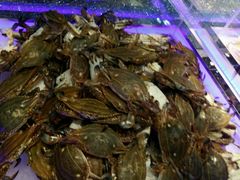 -圣罗巴海鲜烤肉自助(鲅鱼圈万达店)