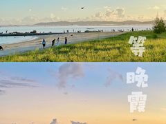 -西澳岛