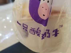 -一只酸奶牛(来福士店)