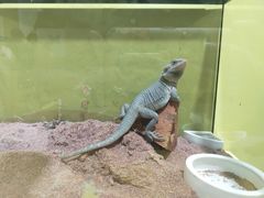 -宁波科学探索中心