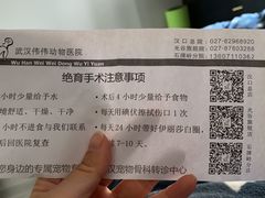 -伟伟宠物医院·CT影像中心·瑞派犬猫综合性门诊(汉口总院)